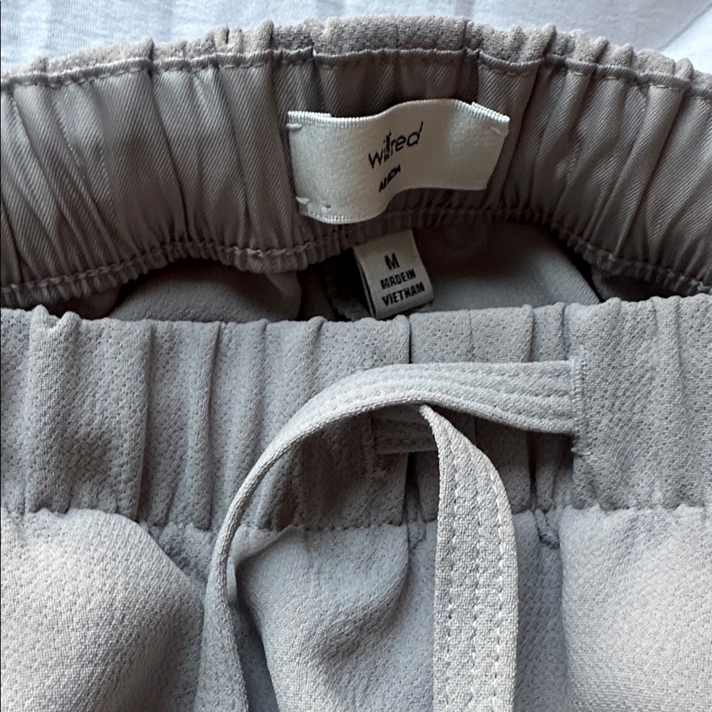 Aritzia Wilfred lodge pant - Picture 2 of 4